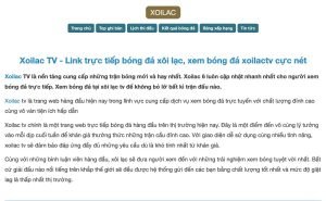 Xoilac TV website xem bóng đá tối ưu nhất dành cho người xem Việt Nam
